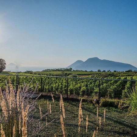 Tenuta Di Castellaro Winery & Resort Đảo Lipari Ngoại thất bức ảnh