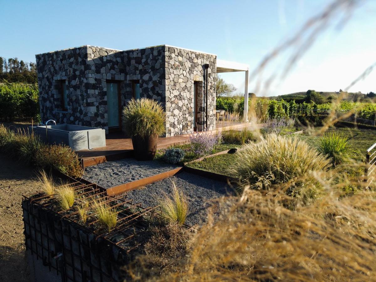 Tenuta Di Castellaro Winery & Resort Đảo Lipari Ngoại thất bức ảnh