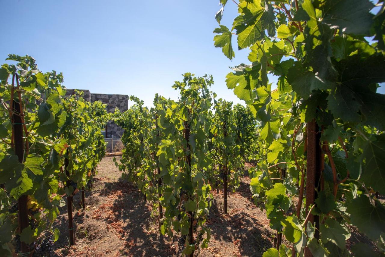 Tenuta Di Castellaro Winery & Resort Đảo Lipari Ngoại thất bức ảnh