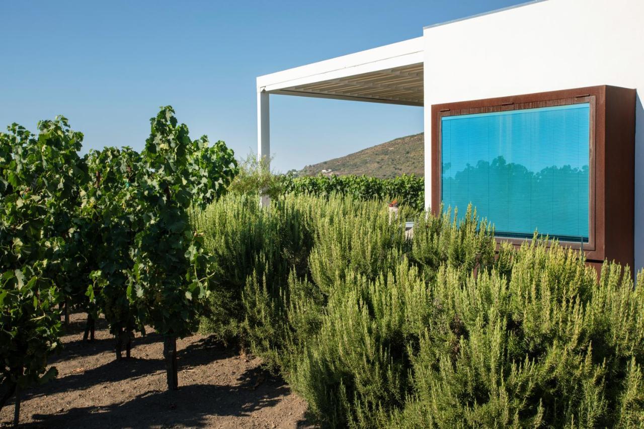 Tenuta Di Castellaro Winery & Resort Đảo Lipari Ngoại thất bức ảnh